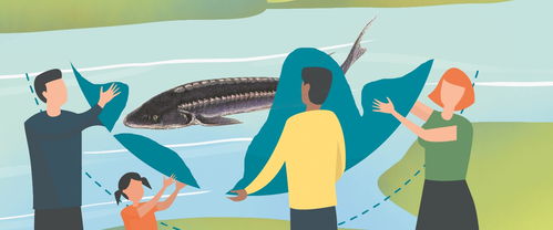 施工噪声致中华鲟死亡 四家建设单位被起诉